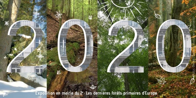 Carte voeux 2020